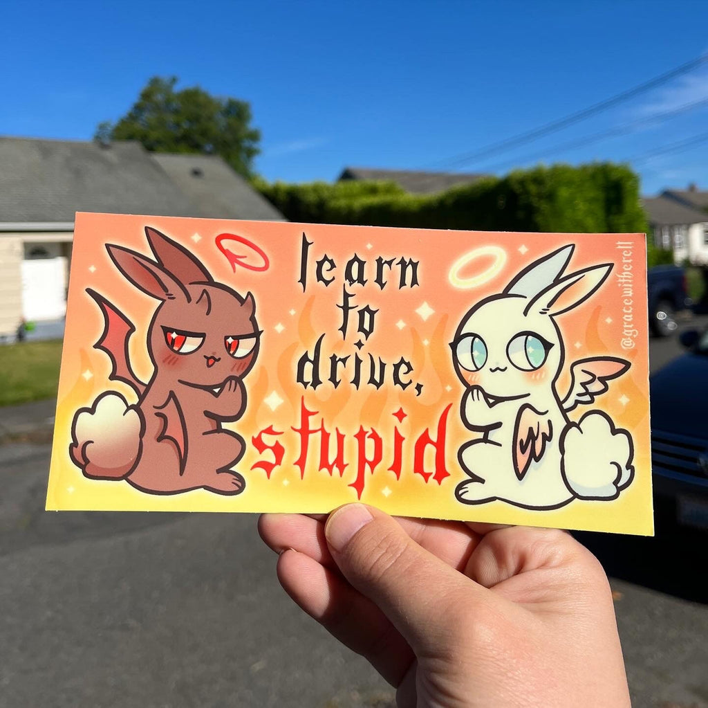 Learn to Drive, Stupid Bumper Sticker