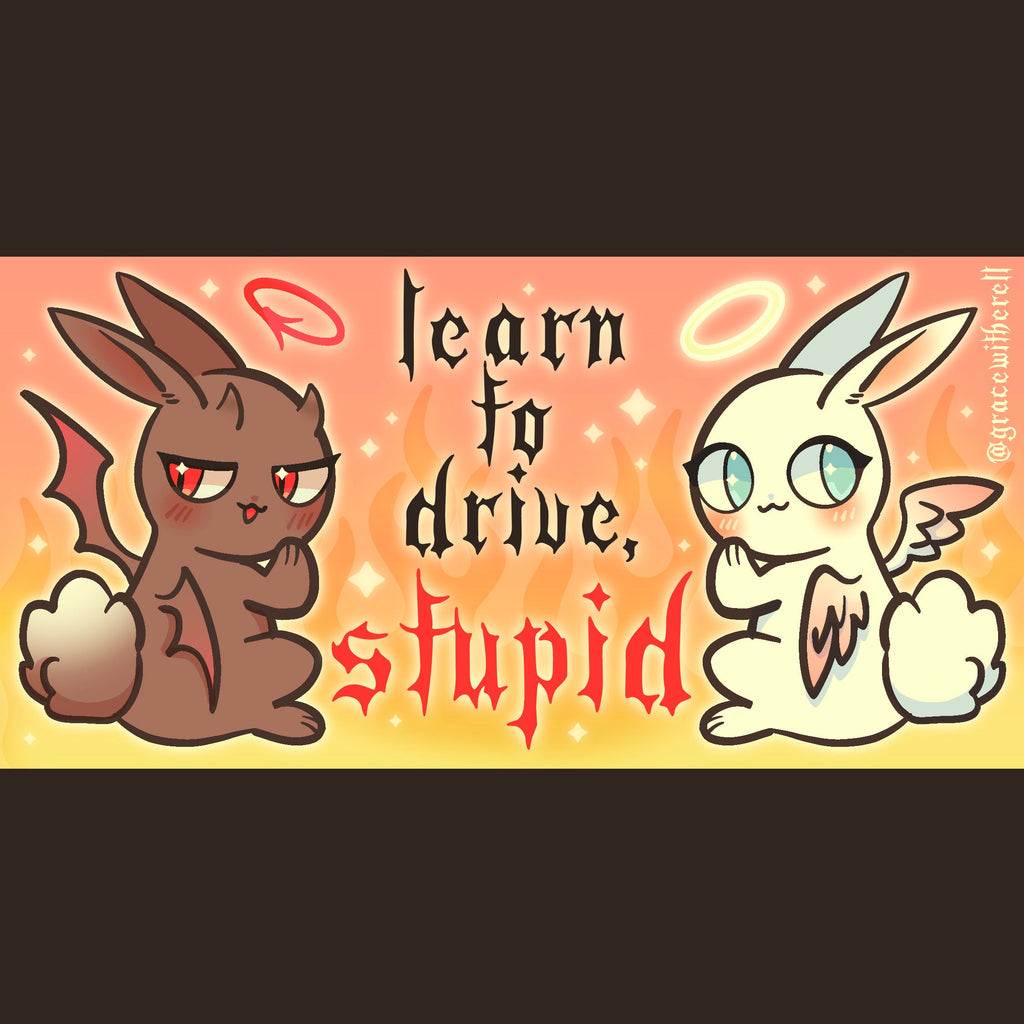 Learn to Drive, Stupid Bumper Sticker