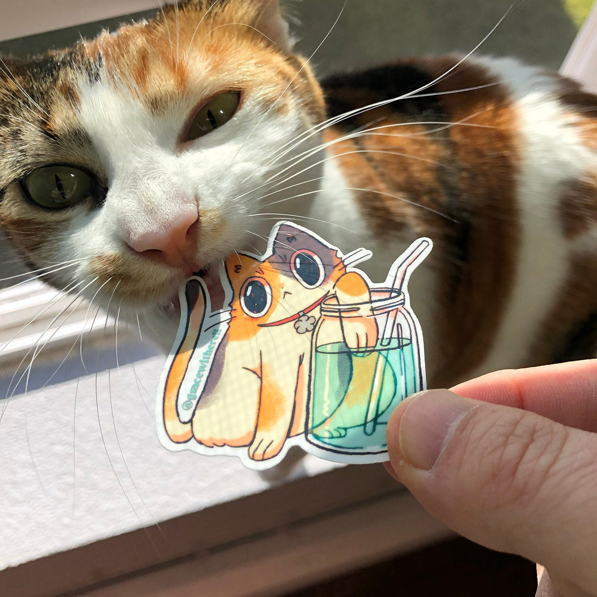 Water Tester Sticker